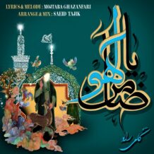 آهنگ جدید کامی راد به نام ضامن آهو